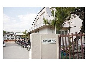 小学校　尼崎市立塚口小学校（小学校）まで537m
