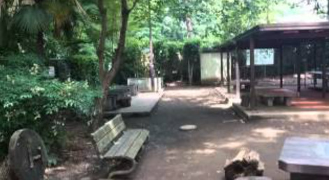 公園　鎌田公園（公園）まで655m