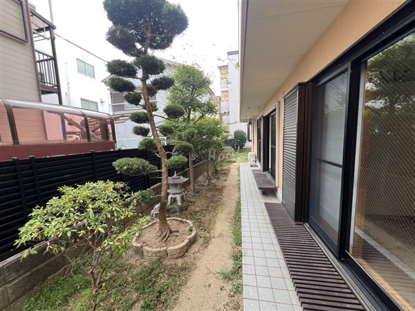 庭