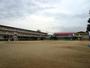 小学校　大村市立富の原小学校（小学校）まで1139m