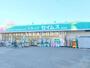 ドラックストア　ドラッグセイムス堀切店（ドラッグストア）まで463m