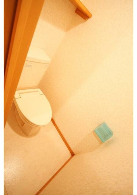 トイレ　落ち着いた色調のトイレです♪