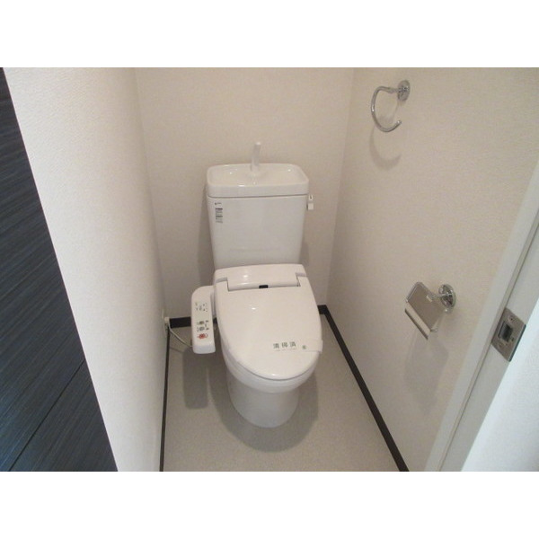 ES-Grande大阪 City Avenueのトイレ写真