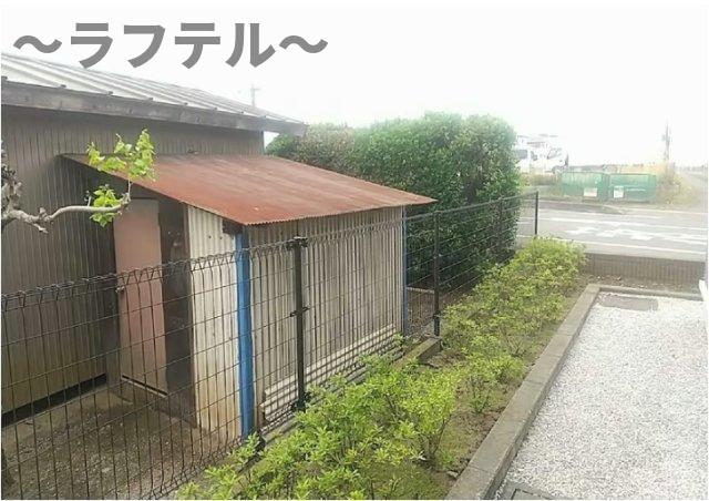 庭