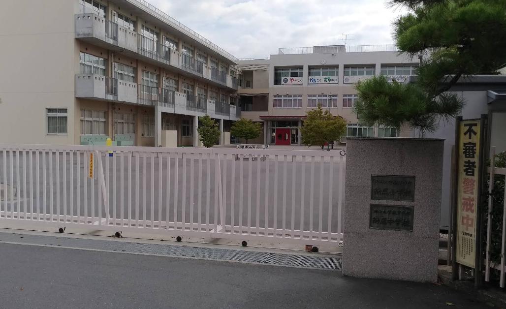 小学校　国立岡山大学附属小学校（小学校）まで529m