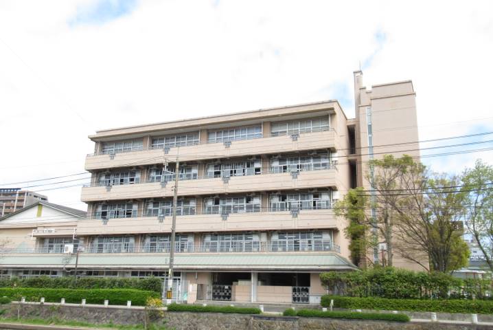 小学校　中央小学校（小学校）まで500m