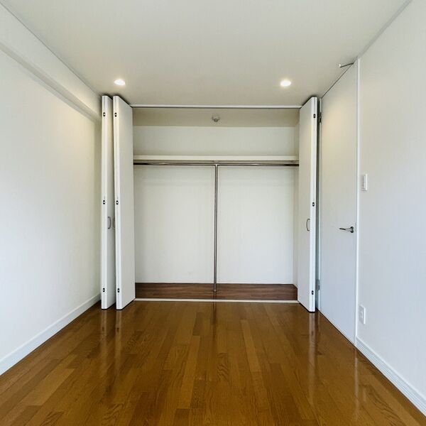 収納　南西洋室