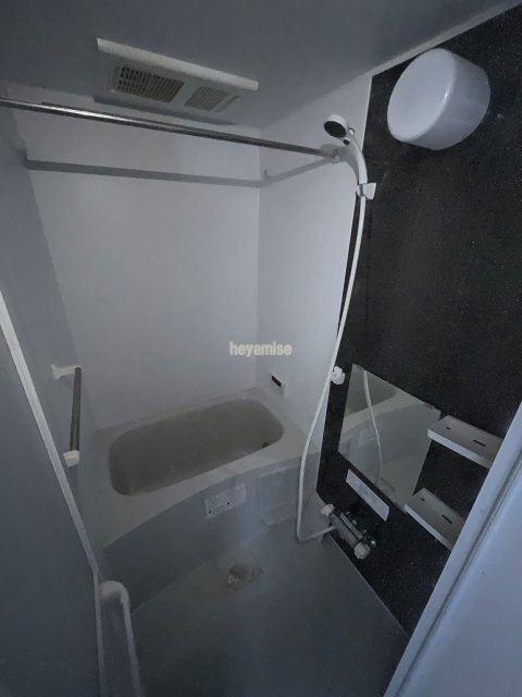 バス・シャワールーム　写真は１０１号です。