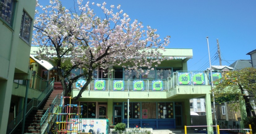 幼稚園・保育園　小田双葉幼稚園（幼稚園・保育園）まで316m