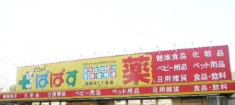 ドラックストア　どらっぐぱぱす 西新井５丁目店（ドラッグストア）まで740m