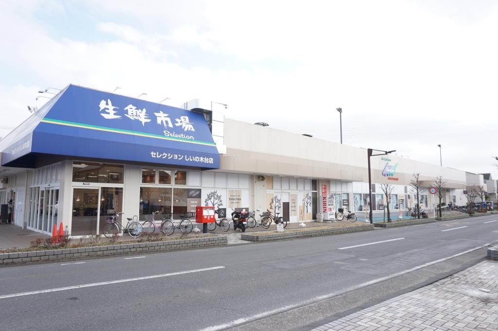 スーパー　FOODS MARKET Selection(フーズマーケッ（スーパー）まで518m