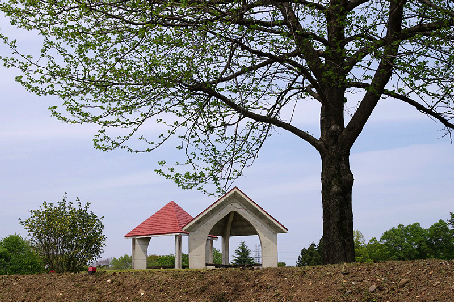 【カーサ・プリムラの公園】