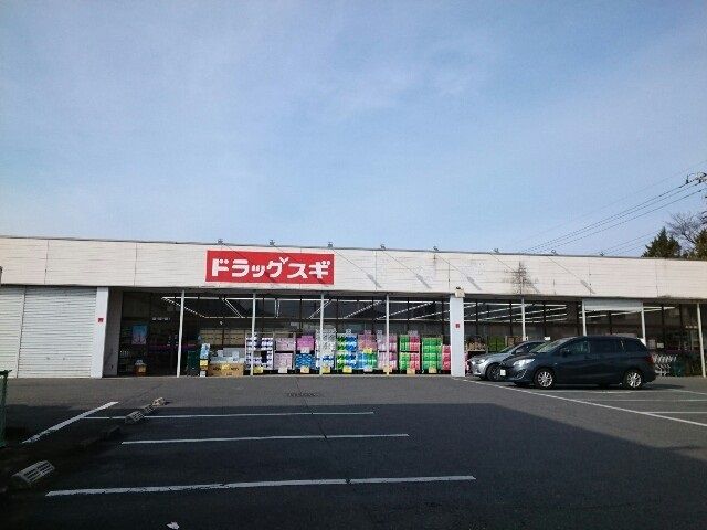 【高崎市片岡町のアパートのドラックストア】