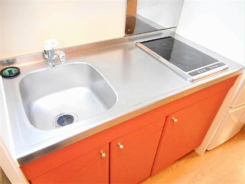 キッチン　2口の電気コンロまたはIHコンロとなります