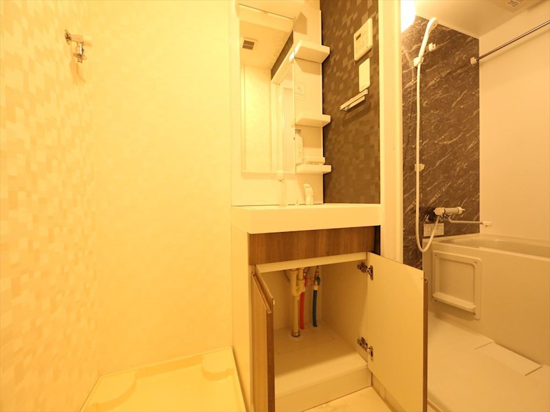 洗面設備　脱衣所　独立洗面台（シャンプードレッサー付）収納スペース有