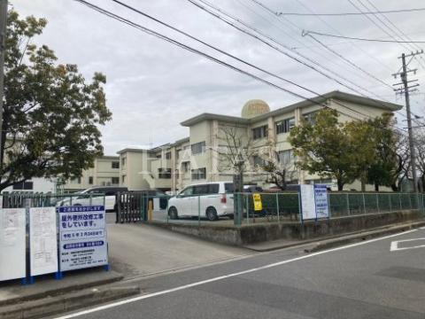 小学校　岡崎市立六ツ美南部小学校（小学校）まで200m