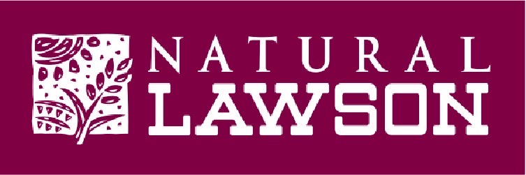 コンビニ　ナチュラルローソン豊洲三丁目店（コンビニ）まで229m