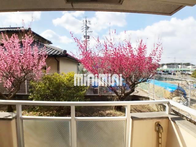 眺望　ベランダからの眺め