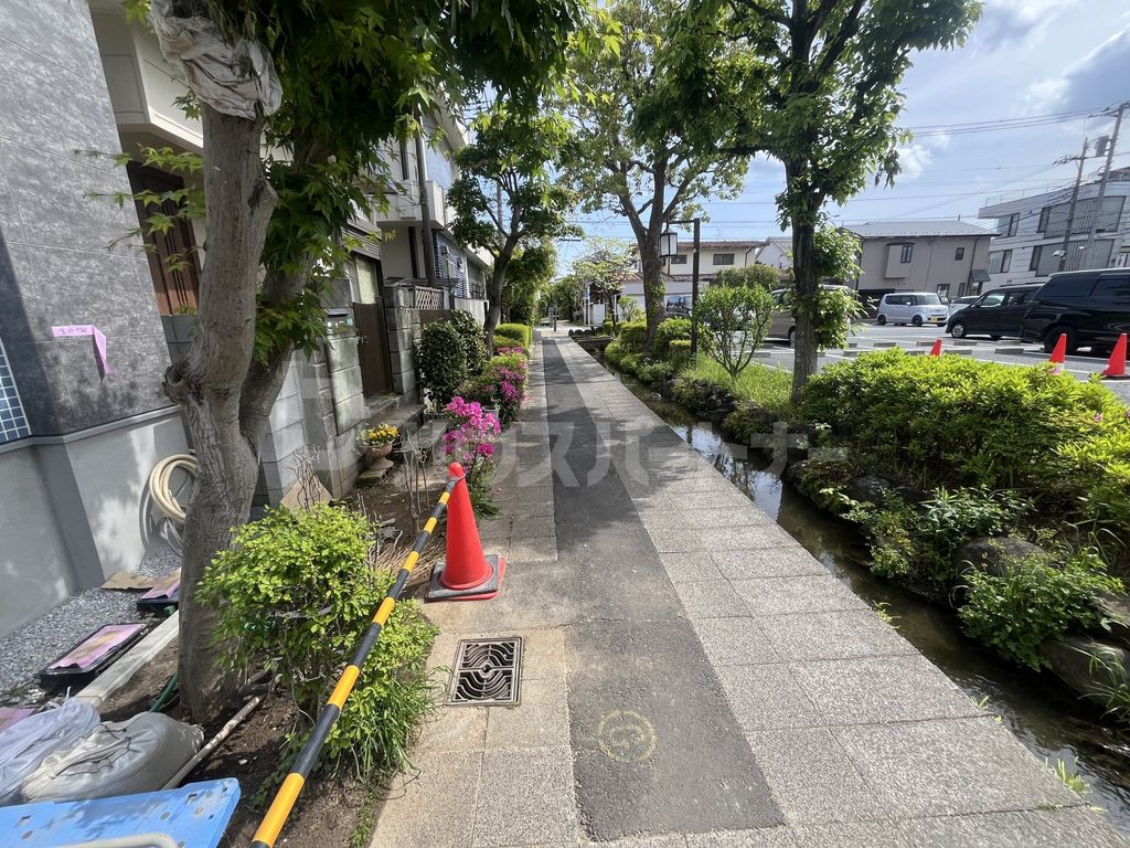 眺望