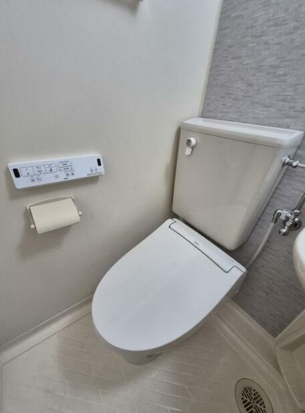 ビレッヂマウンテン東長崎のトイレ写真
