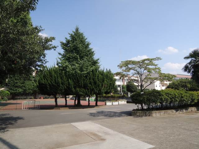 小学校　志村第6小学校（小学校）まで277m