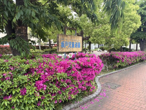 公園　坂戸児童遊園（公園）まで854m