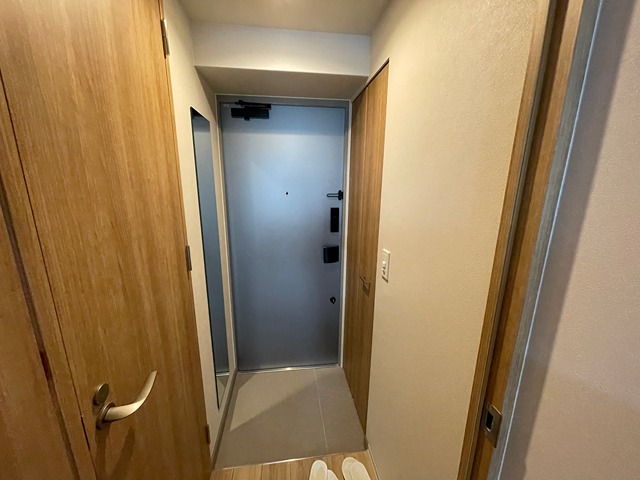 THE SENSE RESIDENCE甲南山手の玄関写真