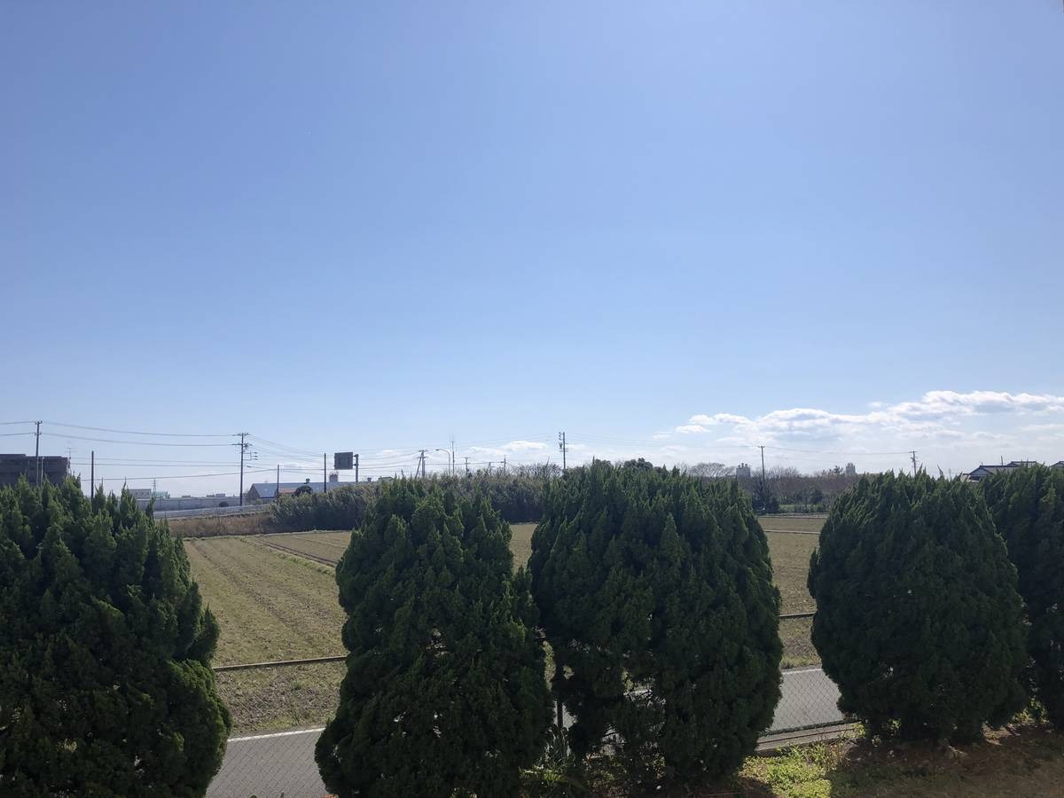 ＪＲ東海道本線 袋井駅 徒歩113分 5階建 築43年のその他写真