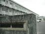 小学校　石巻市立貞山小学校（小学校）まで672m