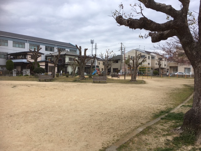 公園　大道公園（公園）まで217m