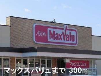 スーパー　マックスバリュ（スーパー）まで300m