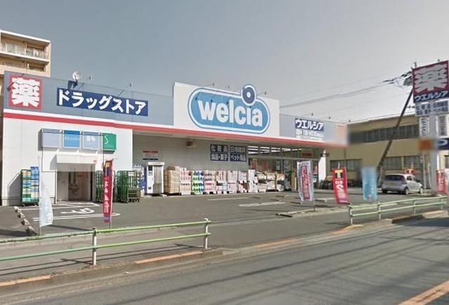 ドラックストア　ウエルシア葛飾立石店（ドラッグストア）まで388m