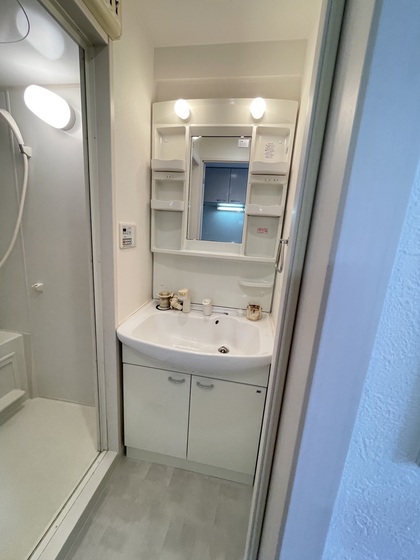 洗面設備　※別部屋の写真です