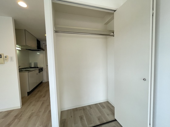 収納　※別部屋の写真です