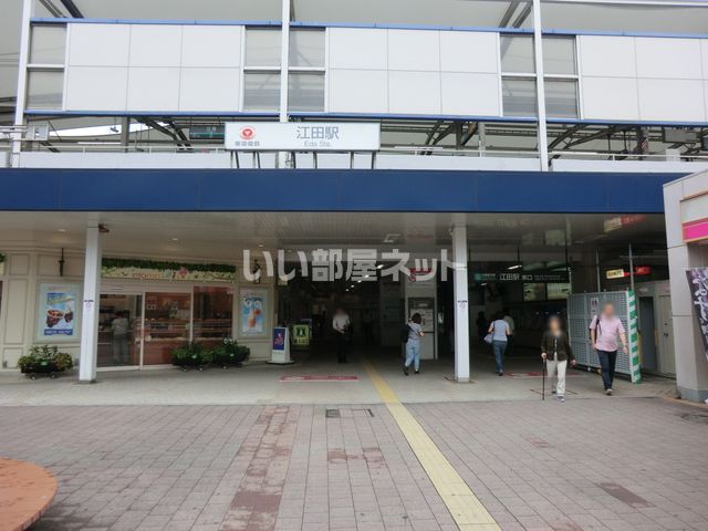 その他　江田(神奈川県)（その他）まで698m