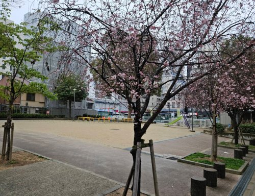 公園　久宝公園（公園）まで601m