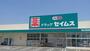 ドラックストア　ドラッグセイムス岩出西野店（ドラッグストア）まで1002m