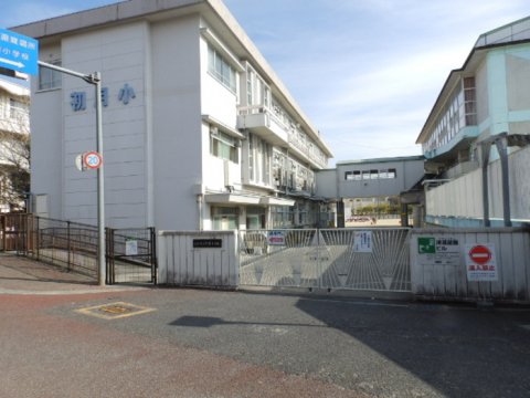 小学校　高知市立初月小学校（小学校）まで373m