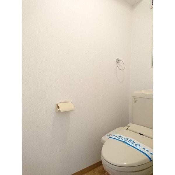 ロイヤルメゾン北花田のトイレ写真