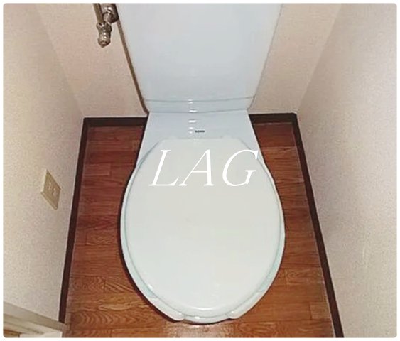 トイレ　トイレです。