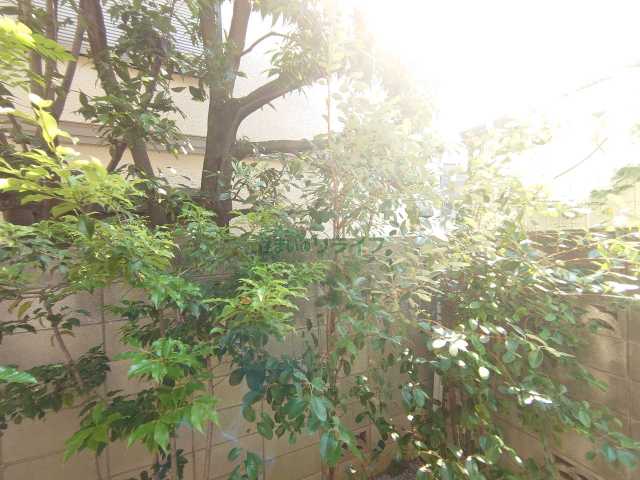 眺望　ミハス中野新井薬師