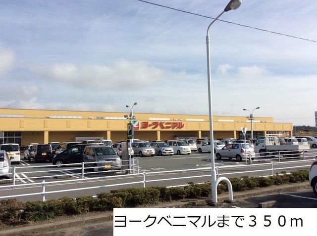 オルテッドキミの周辺写真