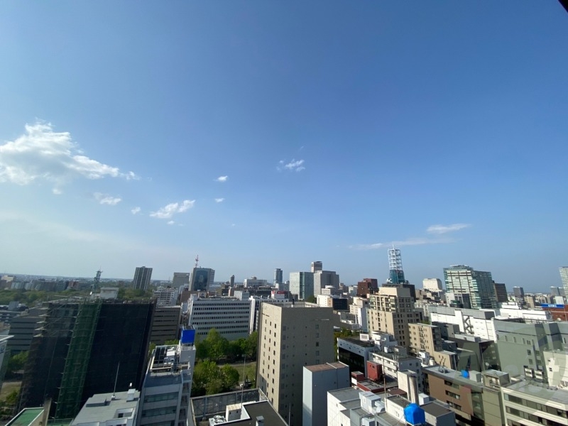 【札幌市中央区南一条西のマンションの眺望】