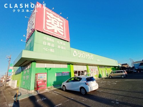 【高浜市論地町のアパートのドラックストア】