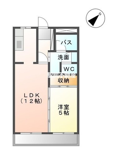 糟屋郡新宮町新宮東のアパートの間取り