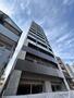 メゾンレクト 13階 築1年8ヶ月の賃貸物件