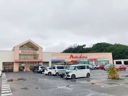 スーパー　マルナカ平島店（スーパー）まで227m