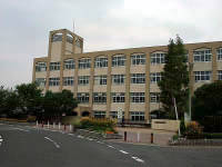 小学校　神戸市立南落合小学校（小学校）まで501m
