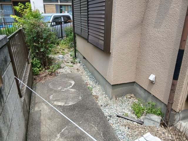 庭