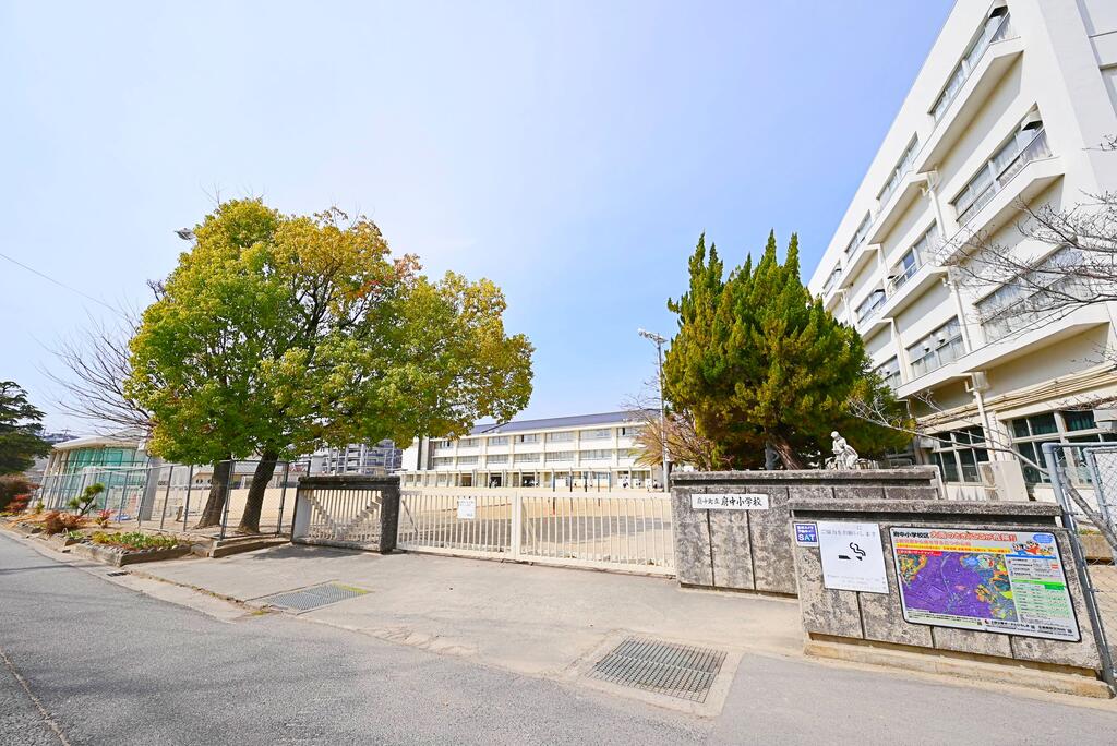 小学校　府中町立府中小学校（小学校）まで307m